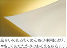 KOIZUMI �������߾��� ����������� AH48748L ��ħ�̿�