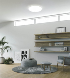 KOIZUMI �������߾��� ������� AH50244L �ܹ���̿�