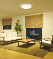 KOIZUMI �������߾��� ������� AH50646 �ܹ���̿�