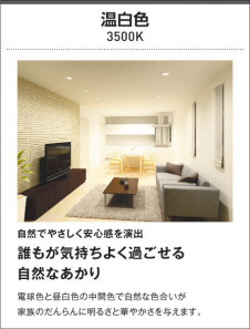 KOIZUMI �������߾��� ���ܾ��� AL47066L ��������