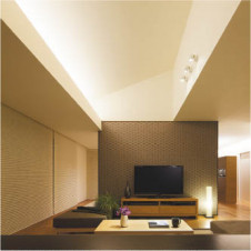 KOIZUMI �������߾��� ���ܾ��� AL47217L �ܹ���̿�