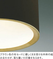 KOIZUMI �������߾��� �ڥ����� AP50289 ��ħ�̿�