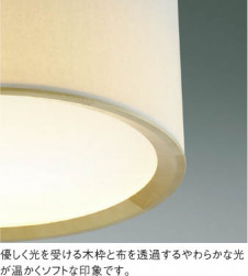 KOIZUMI �������߾��� �ڥ����� AP50290 ��ħ�̿�