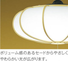 KOIZUMI �������߾��� �����ڥ����� AP50300 ��ħ�̿�