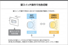 KOIZUMI �������߾��� �ɼ���������� AU42378L ��������