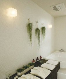 KOIZUMI �������߾��� �ɱ��ɼ����֥饱�å� AUE647040 �ܹ���̿�