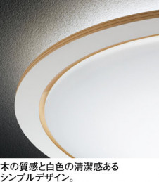 ODELIC �����ǥ�å� ������󥰥饤�� OL251032BCR �̿�2