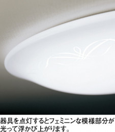 ODELIC �����ǥ�å� ������󥰥饤�� OL251510BCR �̿�2