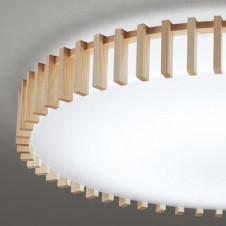 ODELIC �����ǥ�å� ������󥰥饤�� OL291505 �̿�3