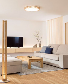 ODELIC �����ǥ�å� ������󥰥饤�� OL291505BC �̿�1