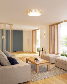 ODELIC �����ǥ�å� ������󥰥饤�� OL291505BC �̿�2