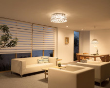 ODELIC �����ǥ�å� ������󥰥饤�� OL291545 �̿�4