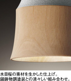 ODELIC �����ǥ�å� �ڥ����ȥ饤�� OP252792 �̿�2