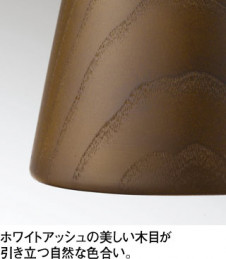 ODELIC �����ǥ�å� ���ݥåȥ饤�� OS256059LC1 �̿�1