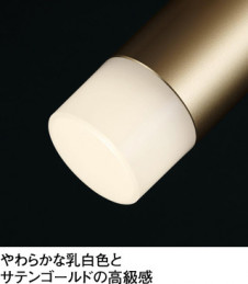 ODELIC �����ǥ�å� ���ݥåȥ饤�� OS256665BC �̿�2