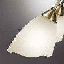 ODELIC �����ǥ�å� �����ǥꥢ OC006917LC1 �̿�2