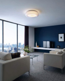 ODELIC ǥå ǥꥢ OC257056 ̿1