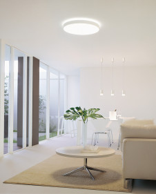 ODELIC �����ǥ�å� ������󥰥饤�� OL251134 �̿�2