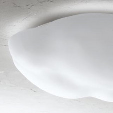 ODELIC ǥå 󥰥饤 OL251251 ̿3