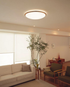 ODELIC �����ǥ�å� ������󥰥饤�� OL251263BC �̿�2