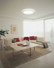 ODELIC �����ǥ�å� ������󥰥饤�� OL251442 �̿�2