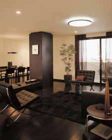 ODELIC �����ǥ�å� ������󥰥饤�� OL251445 �̿�2