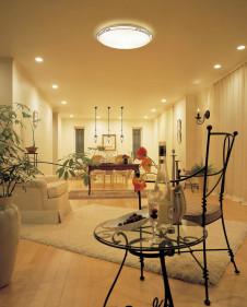 ODELIC �����ǥ�å� ������󥰥饤�� OL251453 �̿�2