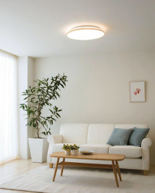 ODELIC �����ǥ�å� ������󥰥饤�� OL251542BC1 �̿�1