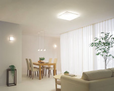 ODELIC ǥå 󥰥饤 OL251604 ̿2