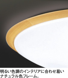 ODELIC �����ǥ�å� ������󥰥饤�� OL251623 �̿�1