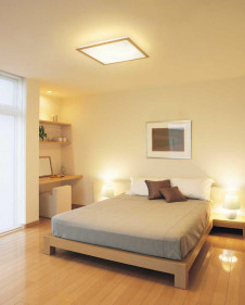 ODELIC �����ǥ�å� ������󥰥饤�� OL251629P1 �̿�2