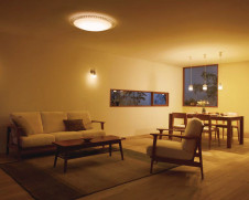 ODELIC �����ǥ�å� ������󥰥饤�� OL251700 �̿�3