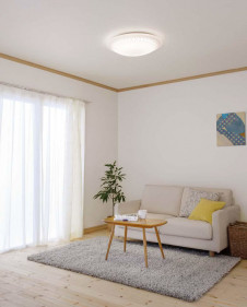 ODELIC ǥå 󥰥饤 OL251710 ̿2