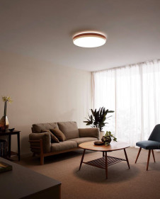 ODELIC �����ǥ�å� ������󥰥饤�� OL291300BC �̿�1