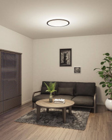 ODELIC �����ǥ�å� ������󥰥饤�� OL291318 �̿�1