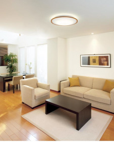 ODELIC �����ǥ�å� ������󥰥饤�� OL291324BC �̿�3