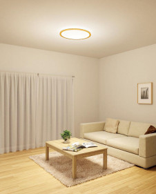 ODELIC �����ǥ�å� ������󥰥饤�� OL291327 �̿�1