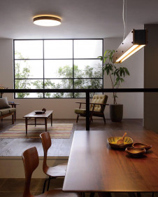 ODELIC �����ǥ�å� ������󥰥饤�� OL291356 �̿�2