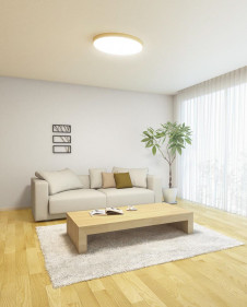 ODELIC �����ǥ�å� ������󥰥饤�� OL291427BC �̿�1