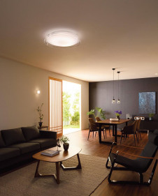 ODELIC �����ǥ�å� ������󥰥饤�� OL291442 �̿�1