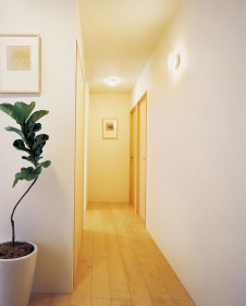 ODELIC �����ǥ�å� ����������󥰥饤�� OL251232 �̿�1