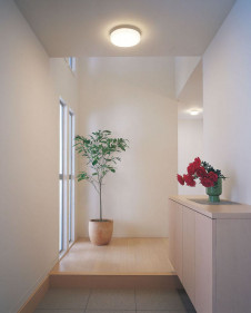 ODELIC ǥå 󥰥饤 OL251272 ̿2