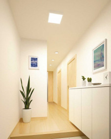 ODELIC �����ǥ�å� ����������󥰥饤�� OL251739 �̿�1