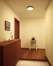 ODELIC �����ǥ�å� ����������󥰥饤�� OL251749 �̿�1