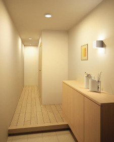 ODELIC �����ǥ�å� ����������󥰥饤�� OL251751 �̿�1