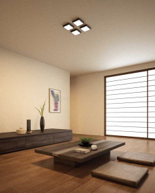 ODELIC �����ǥ�å� ����������󥰥饤�� OL251764 �̿�1