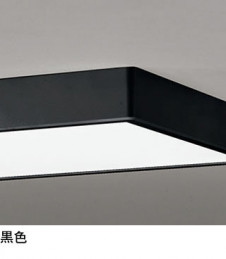 ODELIC �����ǥ�å� ����������󥰥饤�� OL251786 �̿�1