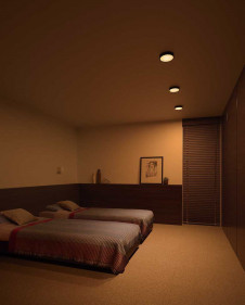 ODELIC �����ǥ�å� ����������󥰥饤�� OL291145 �̿�1