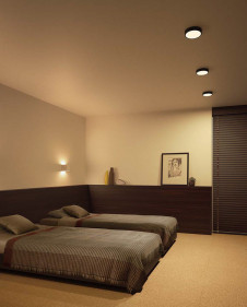 ODELIC �����ǥ�å� ����������󥰥饤�� OL291145 �̿�2