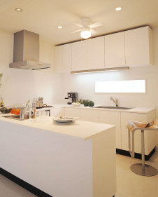 ODELIC �����ǥ�å� ������󥰥ե��� WF255LD �̿�2